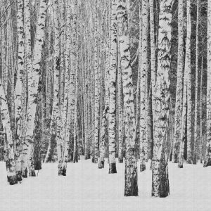 AS Creation THE WALL 371*280 cm