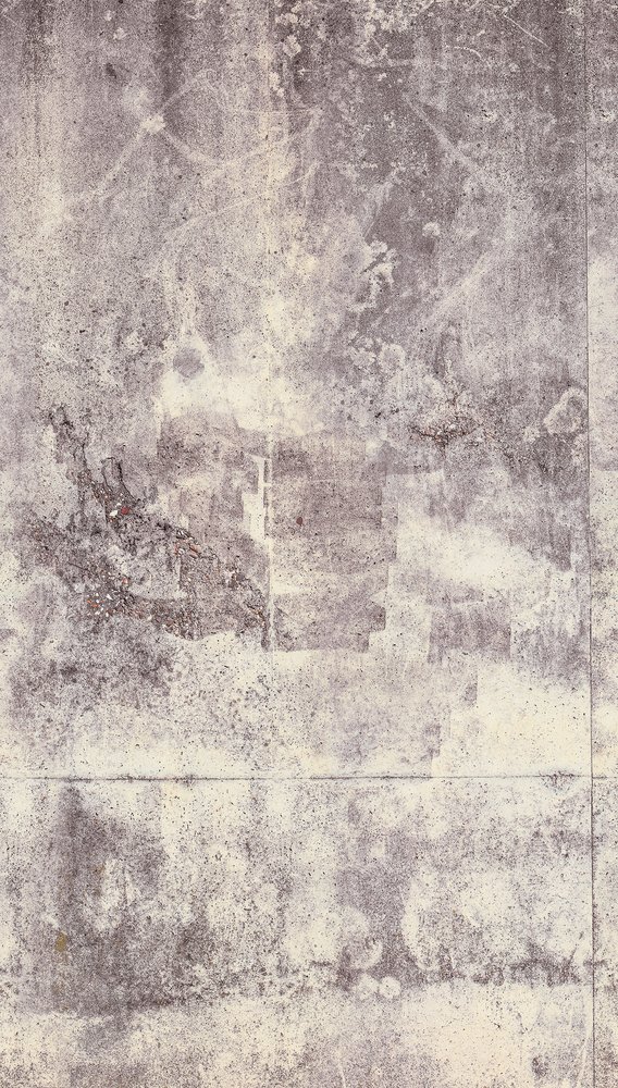AS Creation THE WALL 159*280 cm