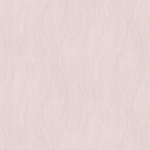 ERISMANN Evolution